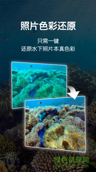 Dive+ v2.2.3 安卓版1