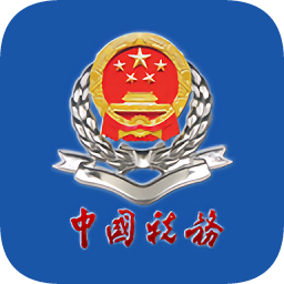 北京市网上税务局企业版