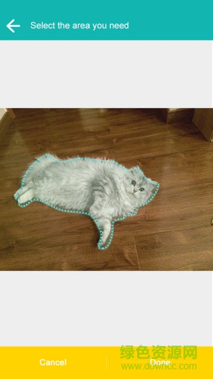 cut me out抠图(飞力猫-抠图神器) v3.4 安卓版1