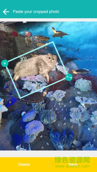 cut me out抠图(飞力猫-抠图神器) v3.4 安卓版3