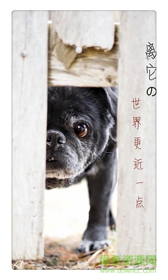 宠界手机版 v3.2 安卓版0