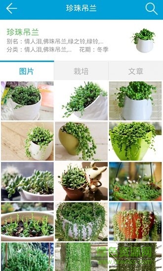 护花网手机版 v1.0 官方安卓版2