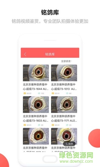 搜鸽查成绩手机版 v1.0 安卓版0