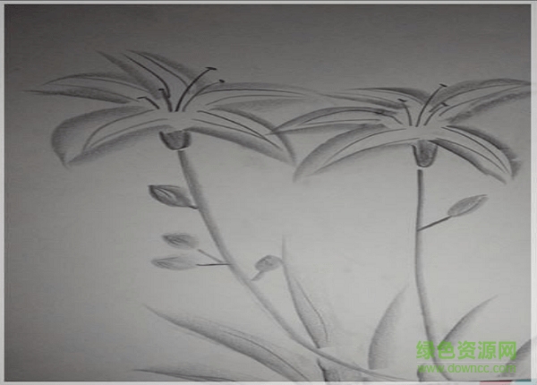 4一6年级线描图片大全简单漂亮 16张0