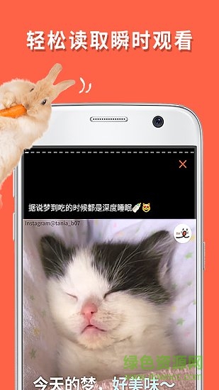 朋宠peco手机版 v1.0.0 安卓版1