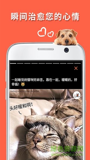 朋宠peco手机版 v1.0.0 安卓版3