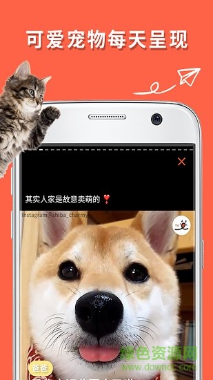 朋宠peco手机版 v1.0.0 安卓版4