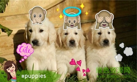 emoji表情相机app v2.4.1 安卓版0