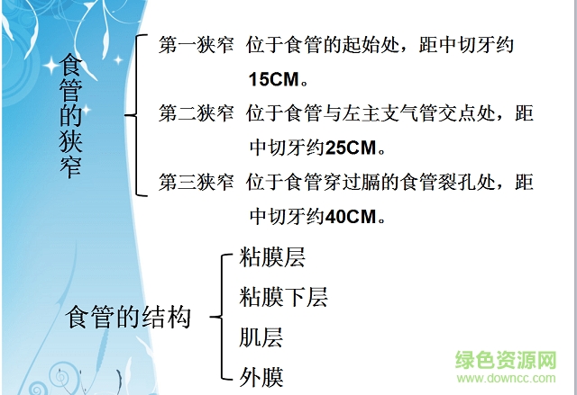 食管癌护理查房ppt课件 免费版1