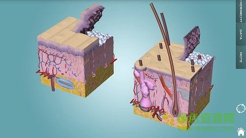 人体解剖学图集app v3.15.1 安卓版1