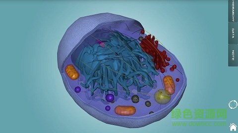 人体解剖学图集app v3.15.1 安卓版3