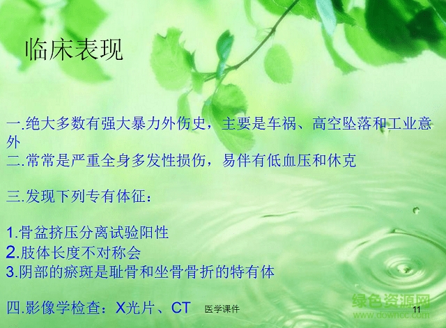 骨盆骨折患者的护理ppt 免费版1