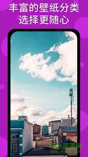 视频桌面app v3.3.1 安卓版2
