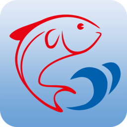 红鲤鱼(保险资讯)