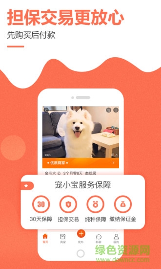 宠小宝平台 v2.0.0 安卓官方版1