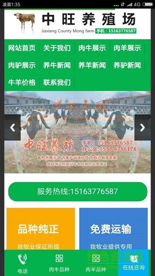 中旺牛牛养殖 v1.0 安卓版0
