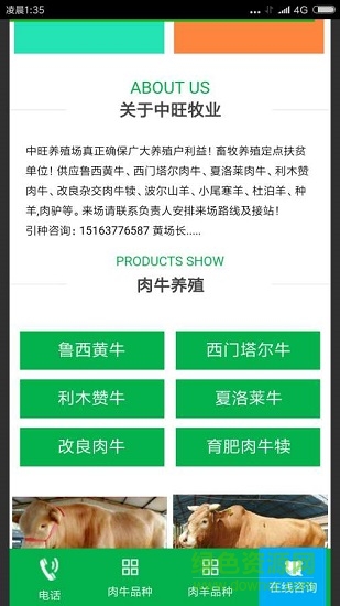 中旺牛牛养殖 v1.0 安卓版1