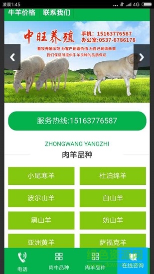 中旺牛牛养殖 v1.0 安卓版2