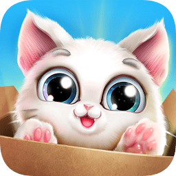 口袋猫咪游戏