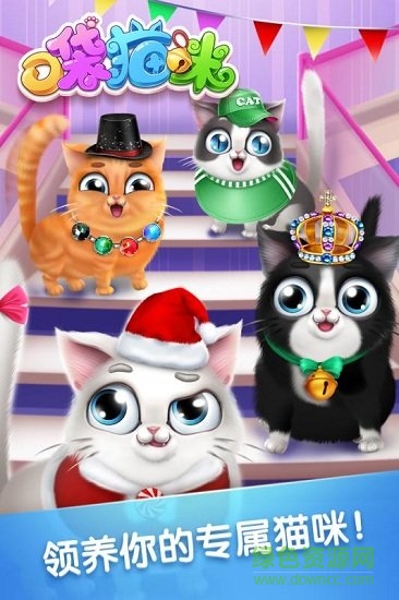 口袋猫咪游戏 v1.1.0 安卓版0