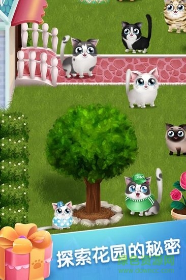 口袋猫咪游戏 v1.1.0 安卓版4