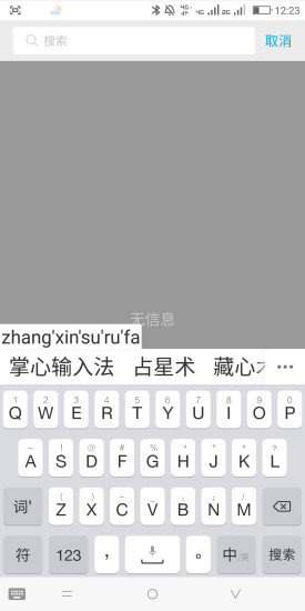 掌心输入法最新版本 v1.1.0 安卓版1