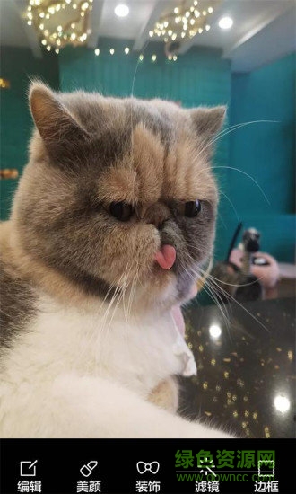 酷我表情照相机软件 v8081.21.6.2 安卓版0