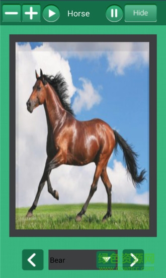 小猪佩奇爱学习 v1.2 安卓版3