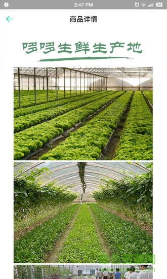 哆哆生鲜 哆哆生鲜安卓版下载