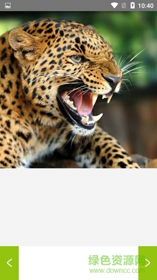 管家婆图库 v1.0.0 安卓版1