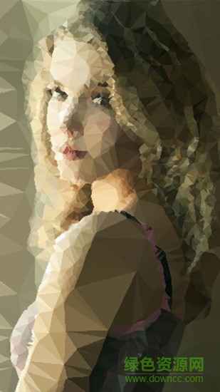 photo low poly filter安卓版 photo low poly filter手机版