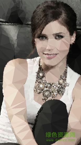 photo low poly filter照片多边形滤镜 v2.0.0 安卓版3