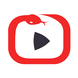 视频收藏家(游戏视频)