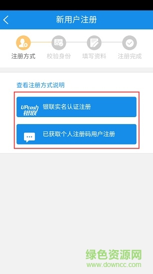大连自然人电子税务局app