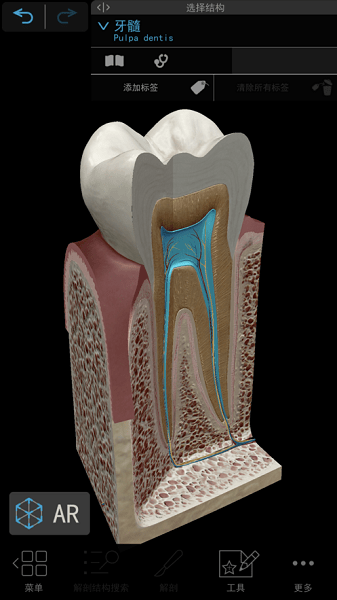2020人体解剖学图谱app正式版 v2020.0.71 安卓免费版1
