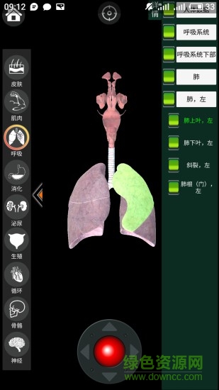 虚拟现实人体解剖app v1.0 安卓版2