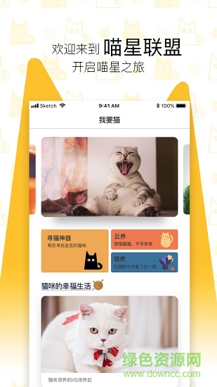 我要猫(流浪猫救助) v1.0.1 安卓版0