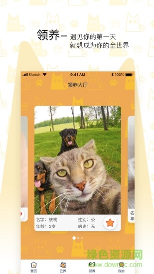 我要猫(流浪猫救助) v1.0.1 安卓版1