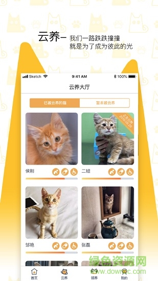 我要猫(流浪猫救助) v1.0.1 安卓版2