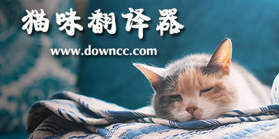 猫咪翻译器app