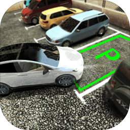 真实停车高手游戏下载