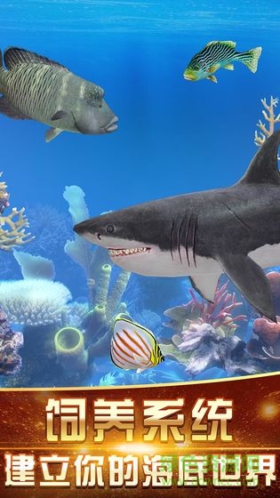 咕咚钓鱼 v1.0.1 安卓版2