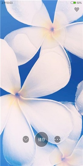 4k高清壁纸精灵官方版 v1.0.2 安卓版0