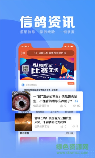 信鸽纵横 v5.3.3 安卓版2