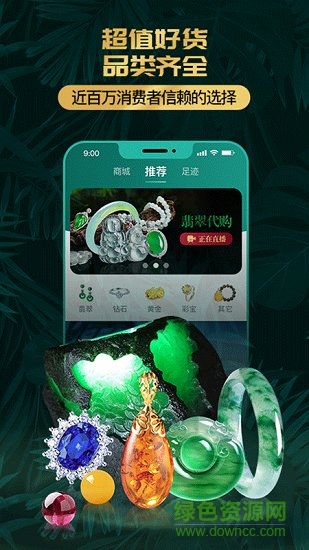 淘翠珠宝 v1.2.2 安卓版1