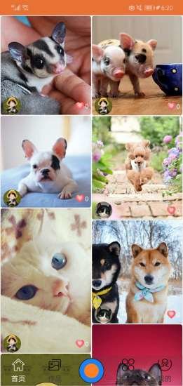 华夏善宠 v1.0 安卓版3