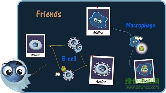 布兰科blanco v1.2.0 安卓版2