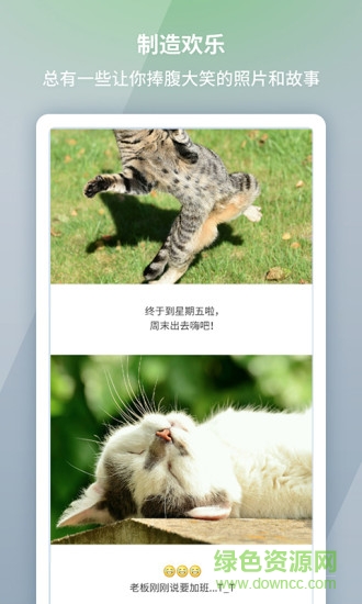 lonpic长截图 v1.0 安卓版3