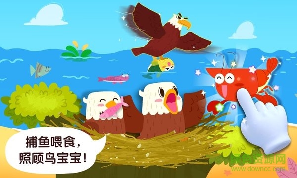 宝宝鸟类认知 v9.63.00.01 安卓版0