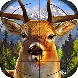 机智的小动物金币无限